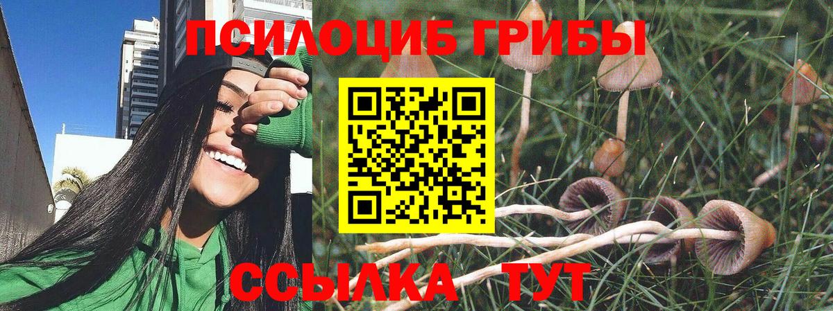 Псилоцибиновые грибы Magic Shrooms  Вход с VPN  Муром 